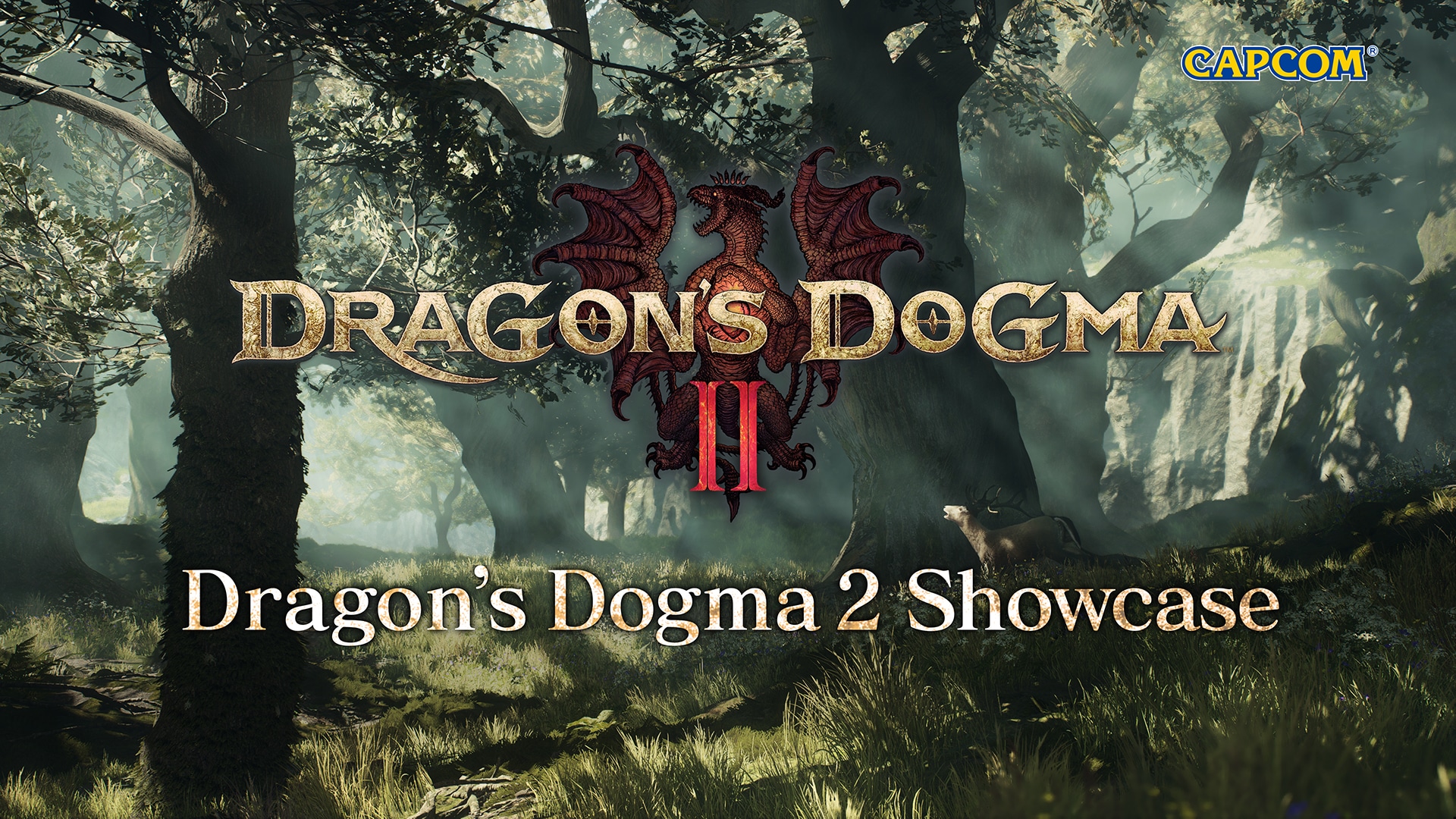 Dragon's Dogma 2 official web page｜CAPCOM